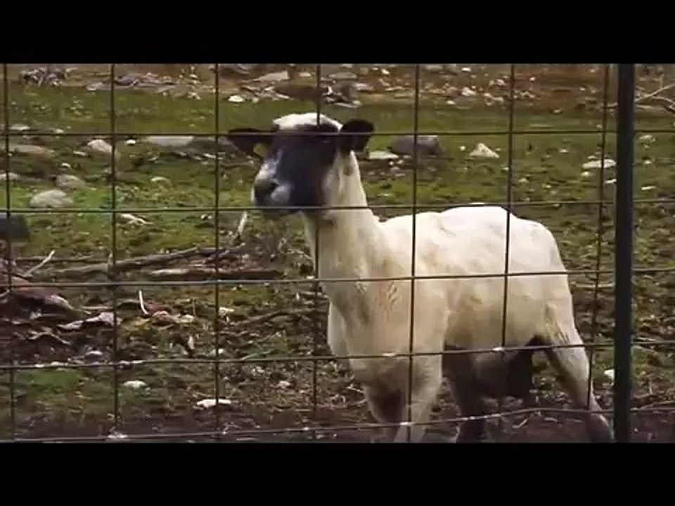 Fotos filtradas de Sam de iCarly Jennette McCurdy