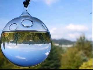 Chuva Ácida - Experiência