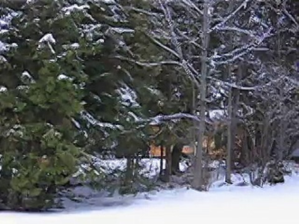 MVI_3383
