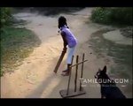 Very Funny A Dog Is Playing Cricket