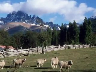 Arriba en la cordillera - Patricio Manns