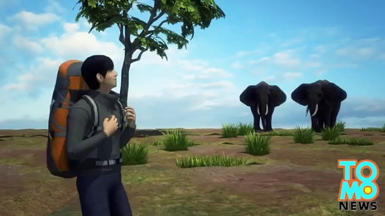 Human hosts: 20 tumbu fly maggots removed from under man’s skin after Africa trip