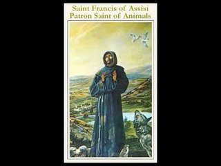 Saint Francis of Assisi - Patron Saint of Animals