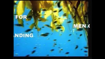 HISTORICAL  MIRACLE OF QURAN ON DISCOVERY OF CITY OF IRAM WHERE AD LIVED