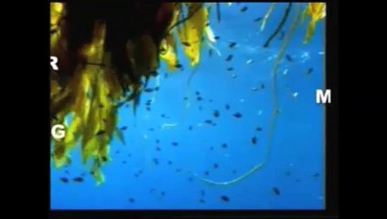 HISTORICAL  MIRACLE OF QURAN ON HAMAN