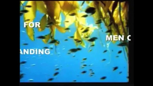 HISTORICAL MIRACLE OF QURAN ON CALAMITIES AFFLICTED ON PHARAOH