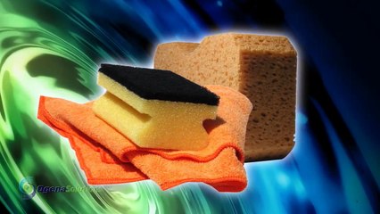 Accel Disinfectant USA -  Arguably The Worlds Best All Around Animal Health Disinfectant