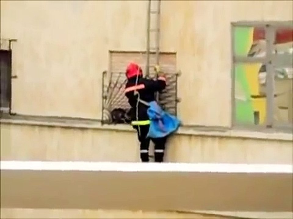 un chat sauver par des pompiers au Maroc ( TETOUAN