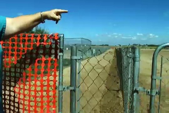 Training Dogs for Greyhound Racing : Sprinting Practice for Greyhound Racing Training