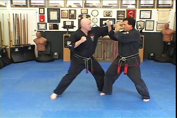 Jeff Speakman - Shielding Hammer