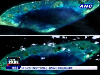 Palace: Arbitration still best track to resolve sea row