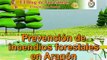 Prevención de incendios forestales en Aragón