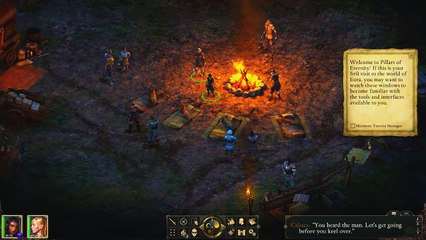 Pillars of Eternity