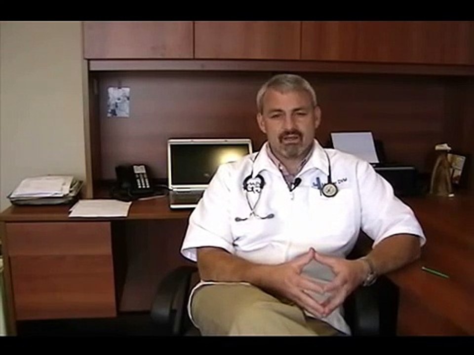 Dog Coughing - Coughing in Dogs