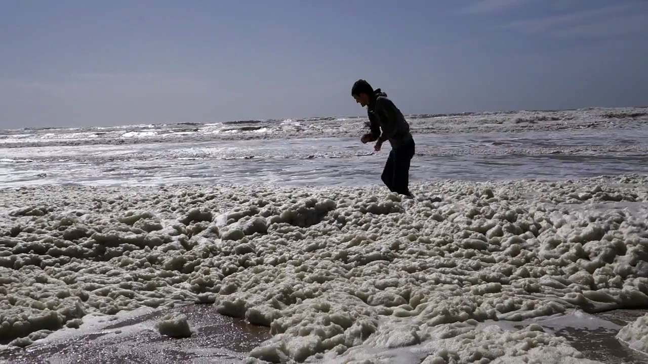 Vert de mai sur la plage d'Ecault (62)
