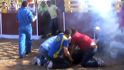 Primera marca de reses bravas de la ganadería La Ribera.