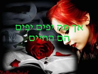 יואב יצחק - זה הזמן לסלוח