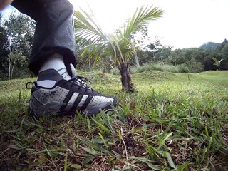Caminhada, Rural, Serra da Mantiqueira, Altitude de 1200 metros, Marcelo Ambrogi, (2)