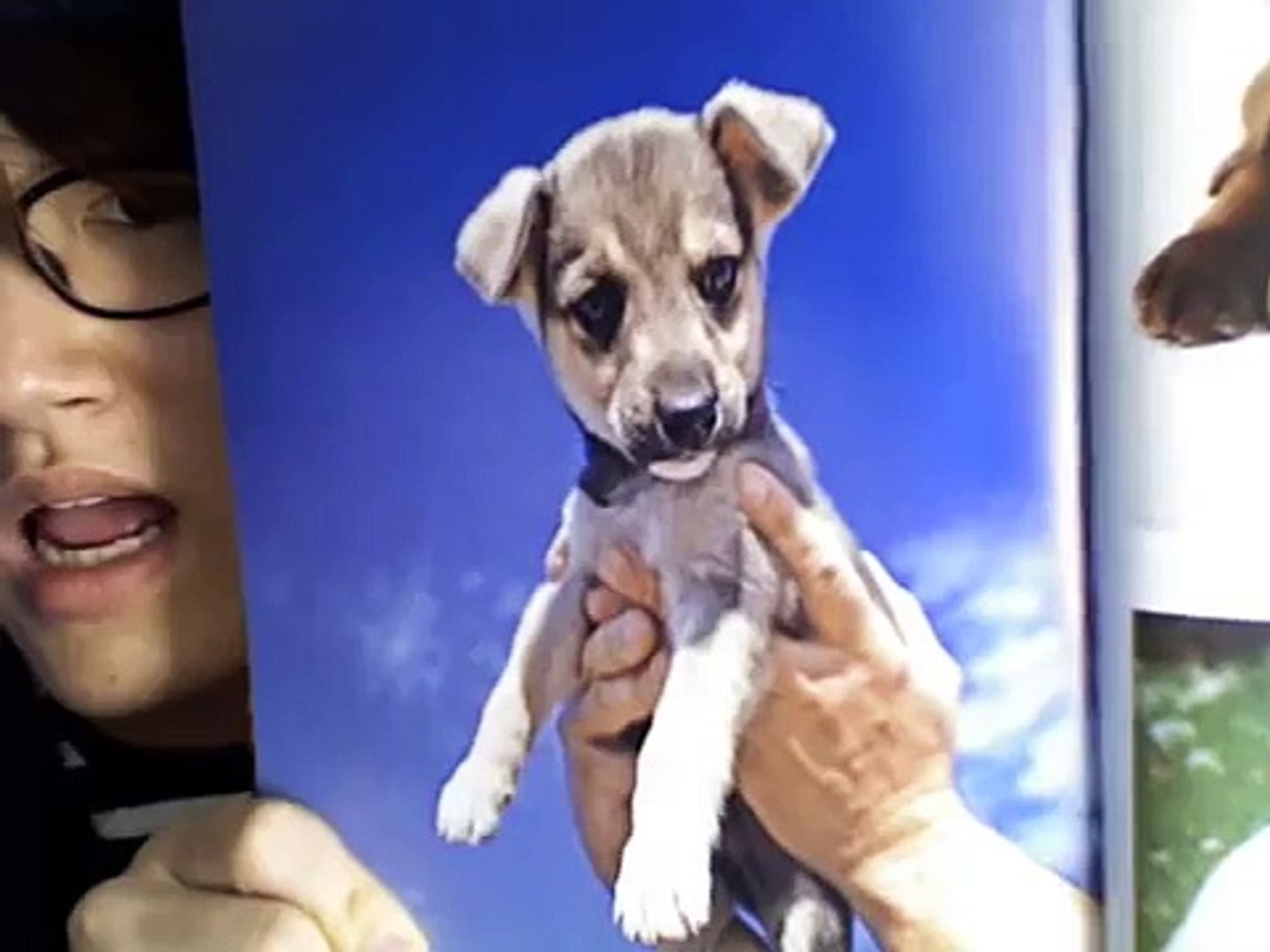 ⁣Puppies inspired by Puppies