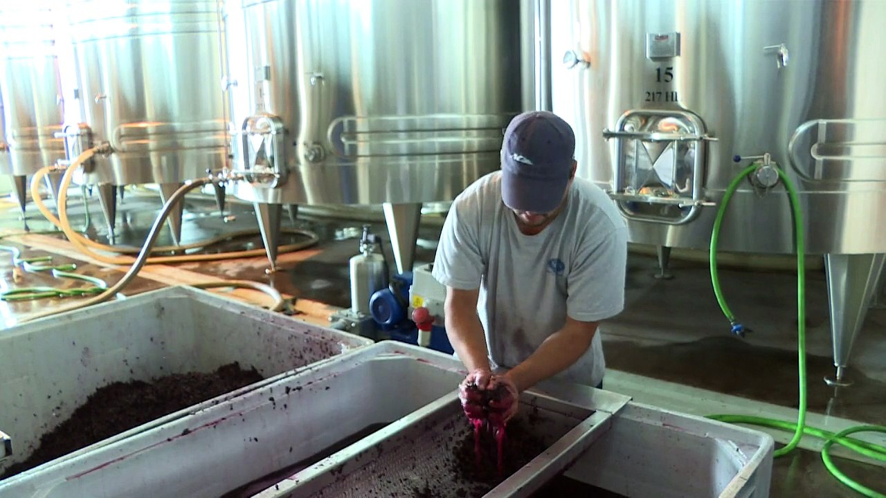 Argentina's wineries turn to high-end wines to survive