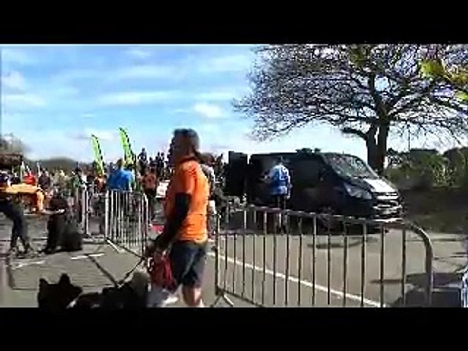 video canicross