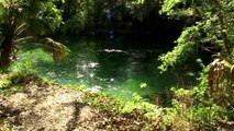 Underwater Cave (Blue Springs State Park)