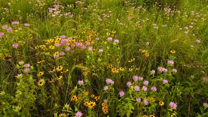 Chris Helzer - Using the Art of Photography