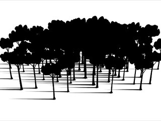 Vanishing Species (deforestation causes species extinction)