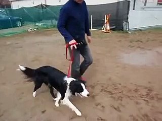 ジオ　キューブサーチ訓練風景