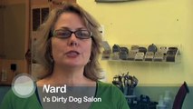 Dog Grooming Tips - How to Bathe Your Dog