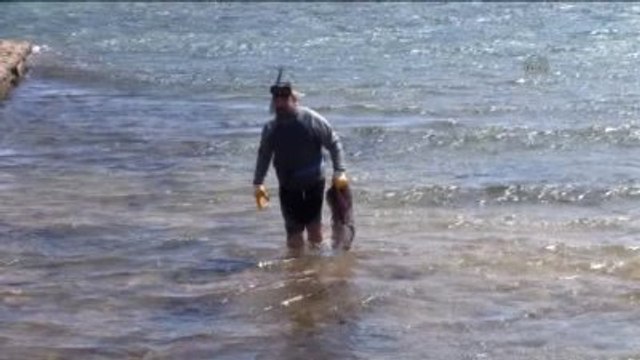 Ayvalık'ta Çevreciler Cunda Adası Kıyılarını Temizledi