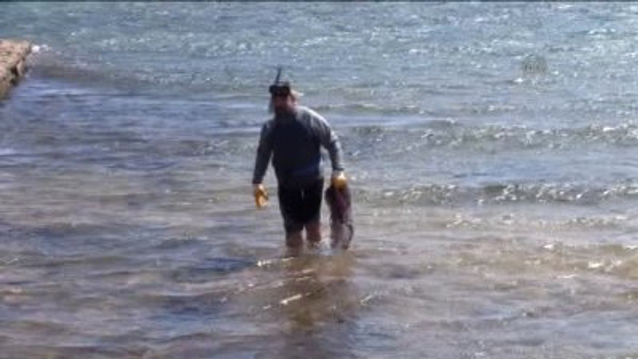 Ayvalık'ta Çevreciler Cunda Adası Kıyılarını Temizledi