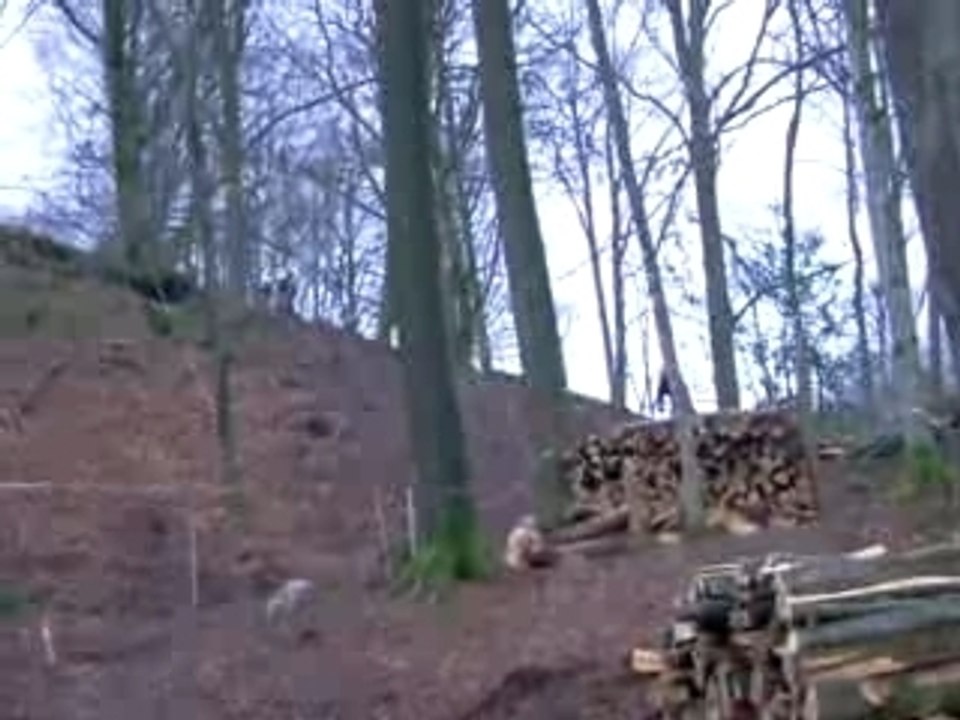 Vidéos champey 70 (10)