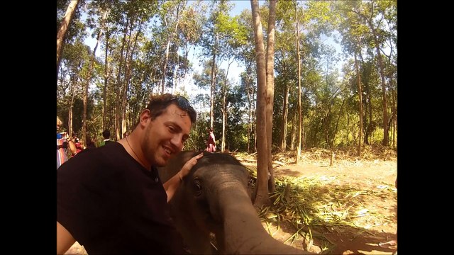 Dans la vie il faut forcer le destin