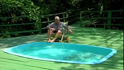 DINGUE ! Ce fou prend un bain avec des ... piranhas !!!