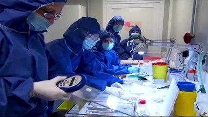 Monsanto GMO Corn Proven to Cause Cancer - Tumors - Organ Damage