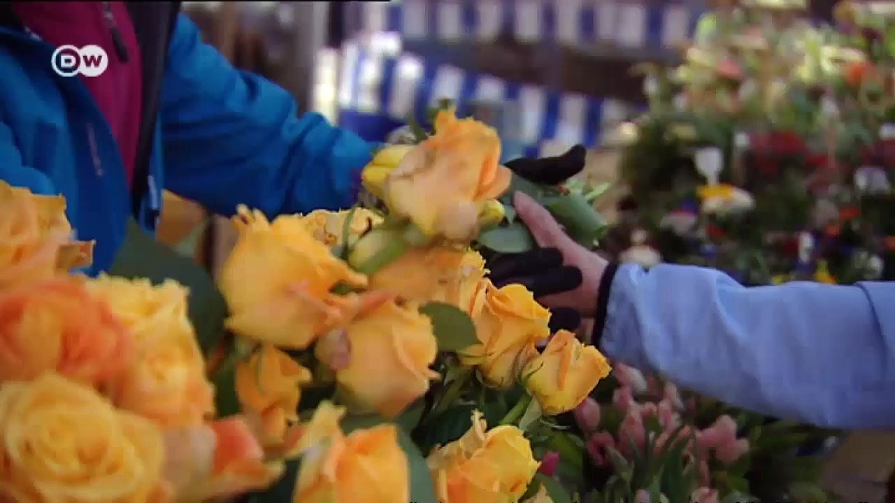 Mainz - Römer, Gutenberg und Karneval | Hin & weg