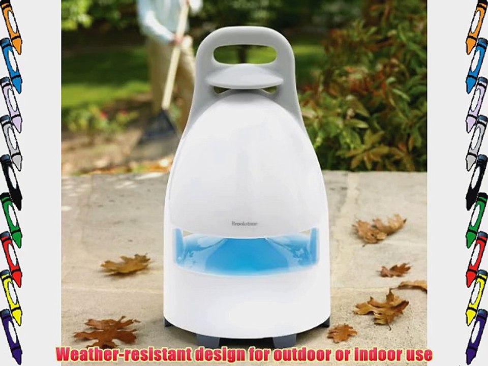 Brookstone Wireless Weather-resistant Indoor/outdoor Wireless Speaker and Dock