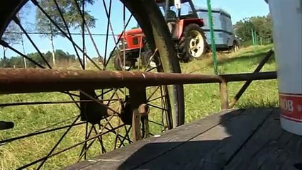 Gutefår och Göingeget, en film om svenska lantraser