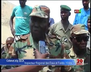 Kolda - La Forêt se Dépeuple à Grands pas !