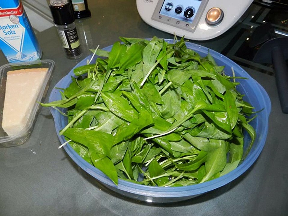 Bärlauchpesto firsch aus dem Wald im TM5 von MrThermomen Matthias Hammelburg Unterfranken Bayern