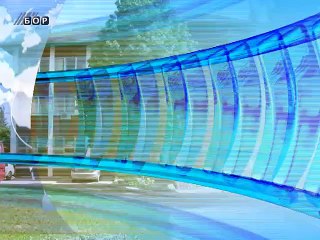 Vesti na vlaškom jeziku, 08. maj 2015. (RTV Bor)