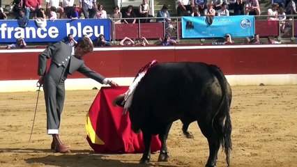 Festival Al Corazon -  Mt de Marsan