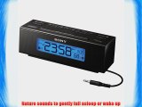 Sony ICFC707 Clock Radio