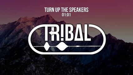 Afrojack & Martin Garrix - Turn Up The Speakers (Beatologi & Regtur Remix)