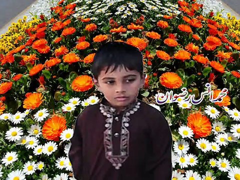 Muhammad Ans Rizwan is studying in Pakistan House of Knowledge Dinga