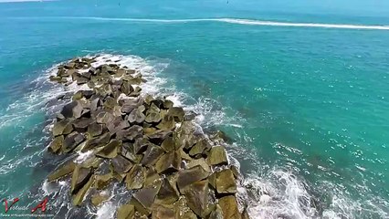 Riding with Dolphins