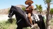 CABALLOS ESPANOLES, CABALLOS BAILADORES, CABALLOS %100 ANDALUZ, CABALLO BAILANDO, PRE HORSES