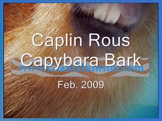 Capybara Bark