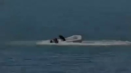 Un chien coincé dans un bateau sans pilote !